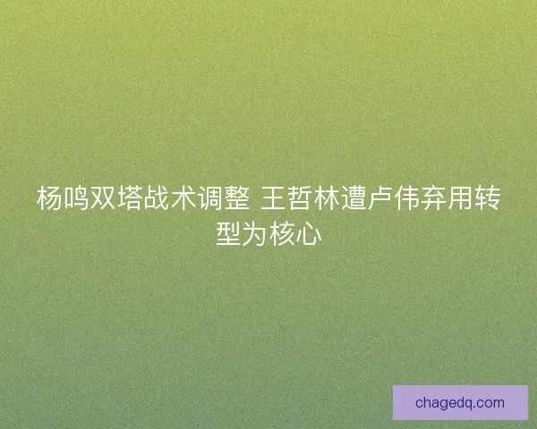 杨鸣双塔战术调整 王哲林遭卢伟弃用转型为核心