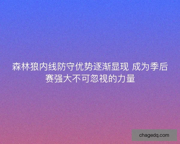 森林狼内线防守优势逐渐显现 成为季后赛强大不可忽视的力量
