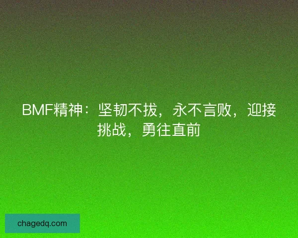 BMF精神:坚韧不拔,永不言败,迎接挑战,勇往直前 BMF精神:坚韧不拔,永不言败,迎接挑战,勇往直前
