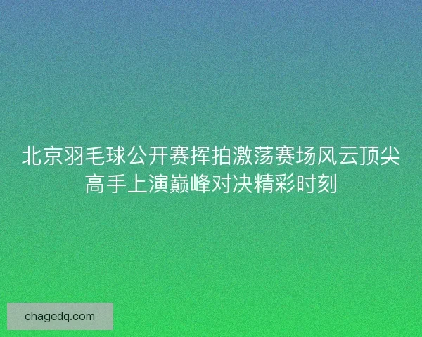 北京羽毛球公开赛挥拍激荡赛场风云顶尖高手上演巅峰对决精彩时刻 北京羽毛球公开赛挥拍激荡赛场风云顶尖高手上演巅峰对决精彩时刻